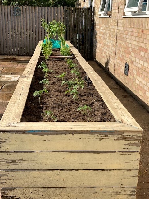 Green Fingered FFT Staff Transform Neglected Plot into Sensory Garden ...